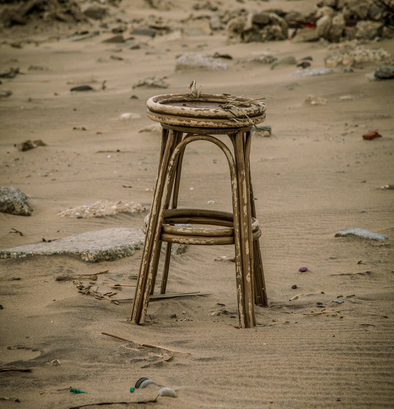 art-of-sandy-mo-seagate 2-47.jpg